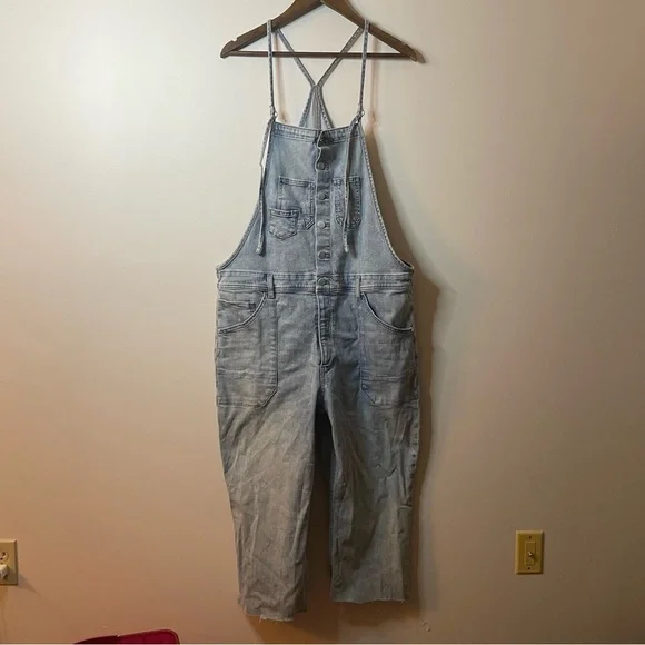 Pilcro Painter Denim Overalls Anthropologie XL - Picture 4 of 11